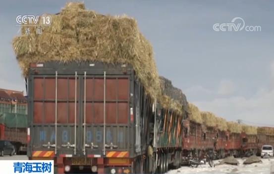 欧罗巴情报：吉马良斯主力射手维加里奥伤缺