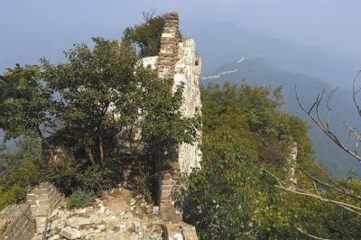 体育金杯赛情报：加拿大阵容齐整