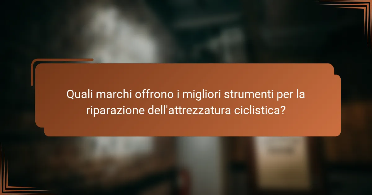 Quali marchi offrono i migliori strumenti per la riparazione dell'attrezzatura ciclistica?