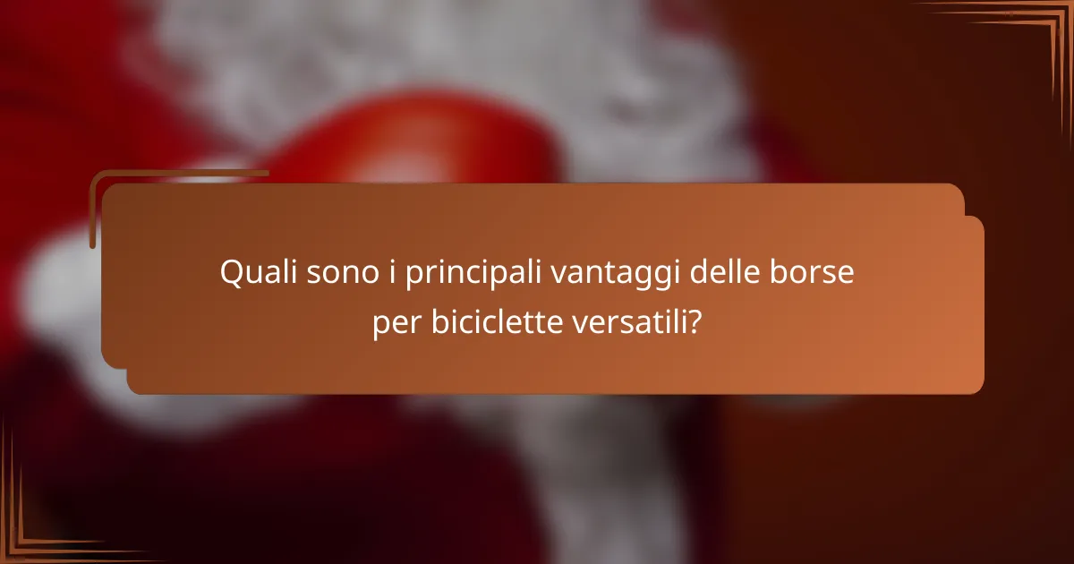 Quali sono i principali vantaggi delle borse per biciclette versatili?